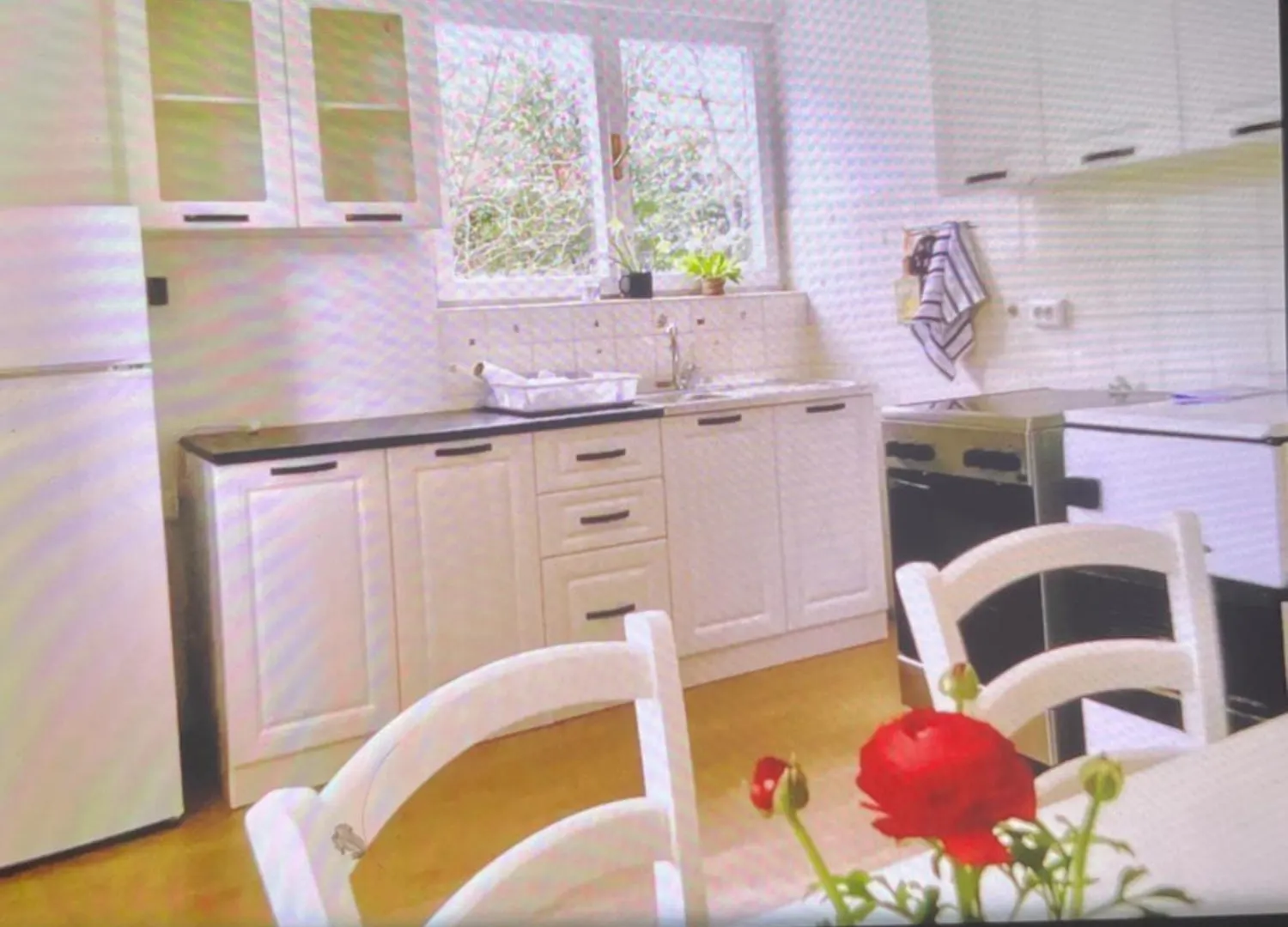 Low Budget Apartment In Rijeka